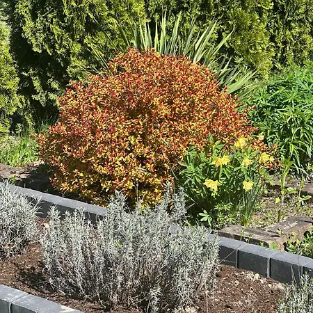 Nad Szelagiem Kątno