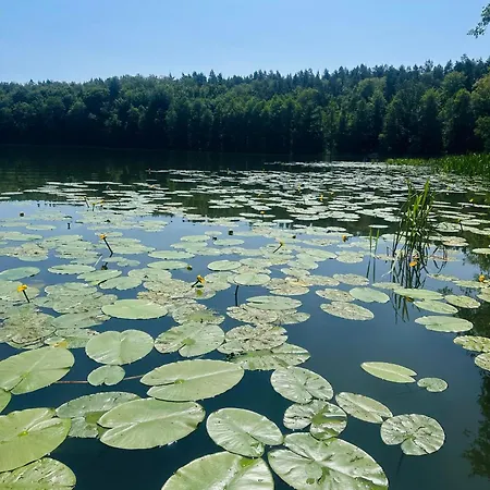 Nad Szelagiem Jaktstuga