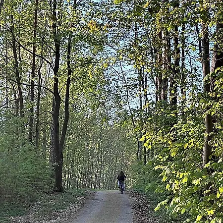 Nad Szelagiem *